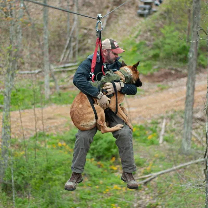 Handler rappelling with a K9