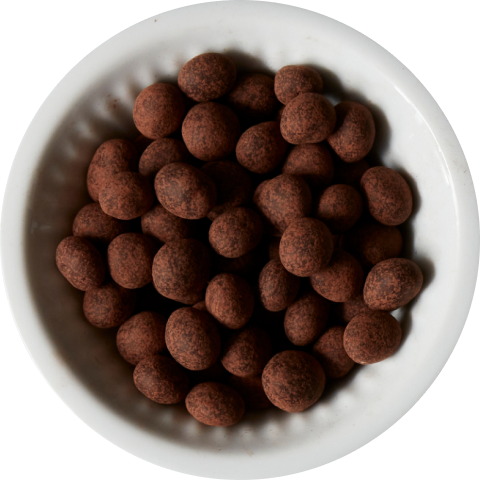 Chocolate-Covered Espresso Beans