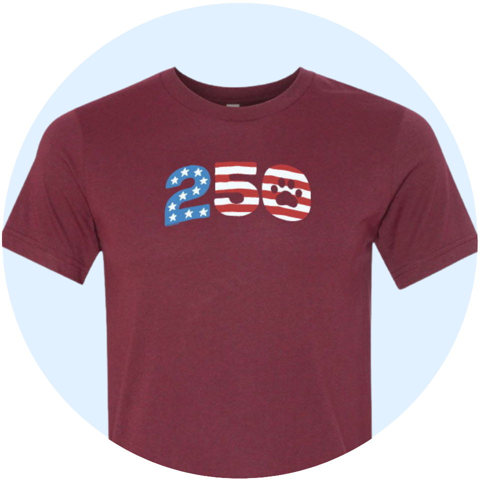 USA 250 collection