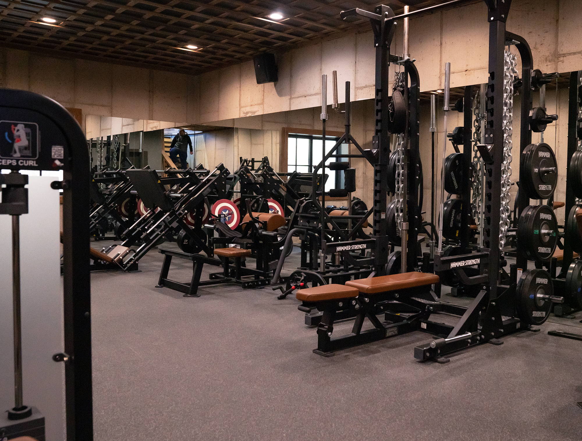 Custom home gym with Hammer Strength squat rack, benches, and plate-loaded exercise equipment