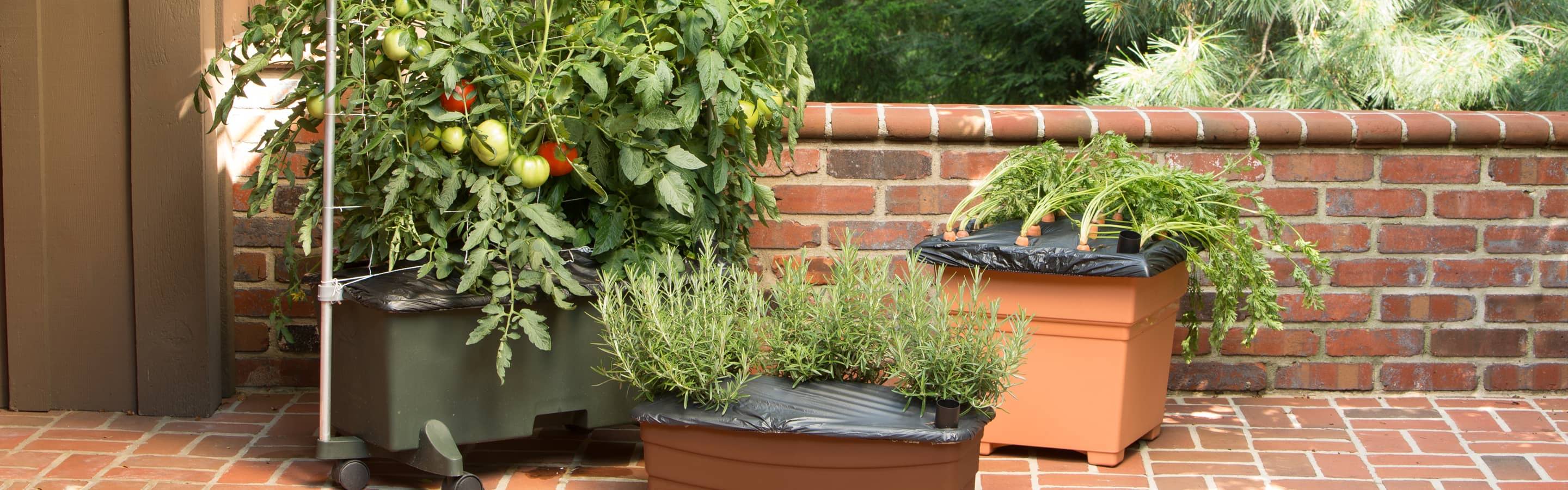 3 different sizes and styles of EarthBox planting boxes for container gardening