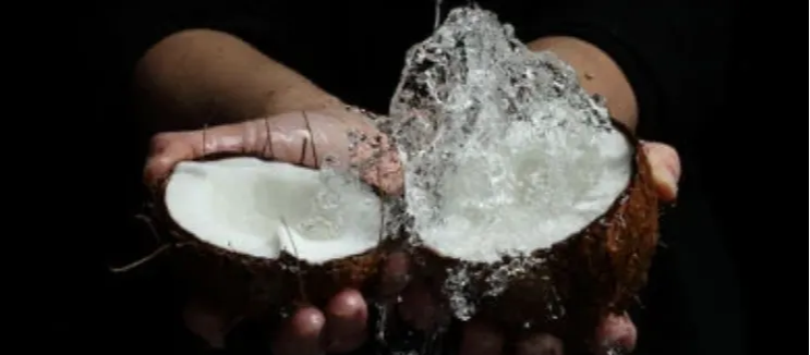 Coconut in half with water splashing out|coconut oil for hemorrhoids