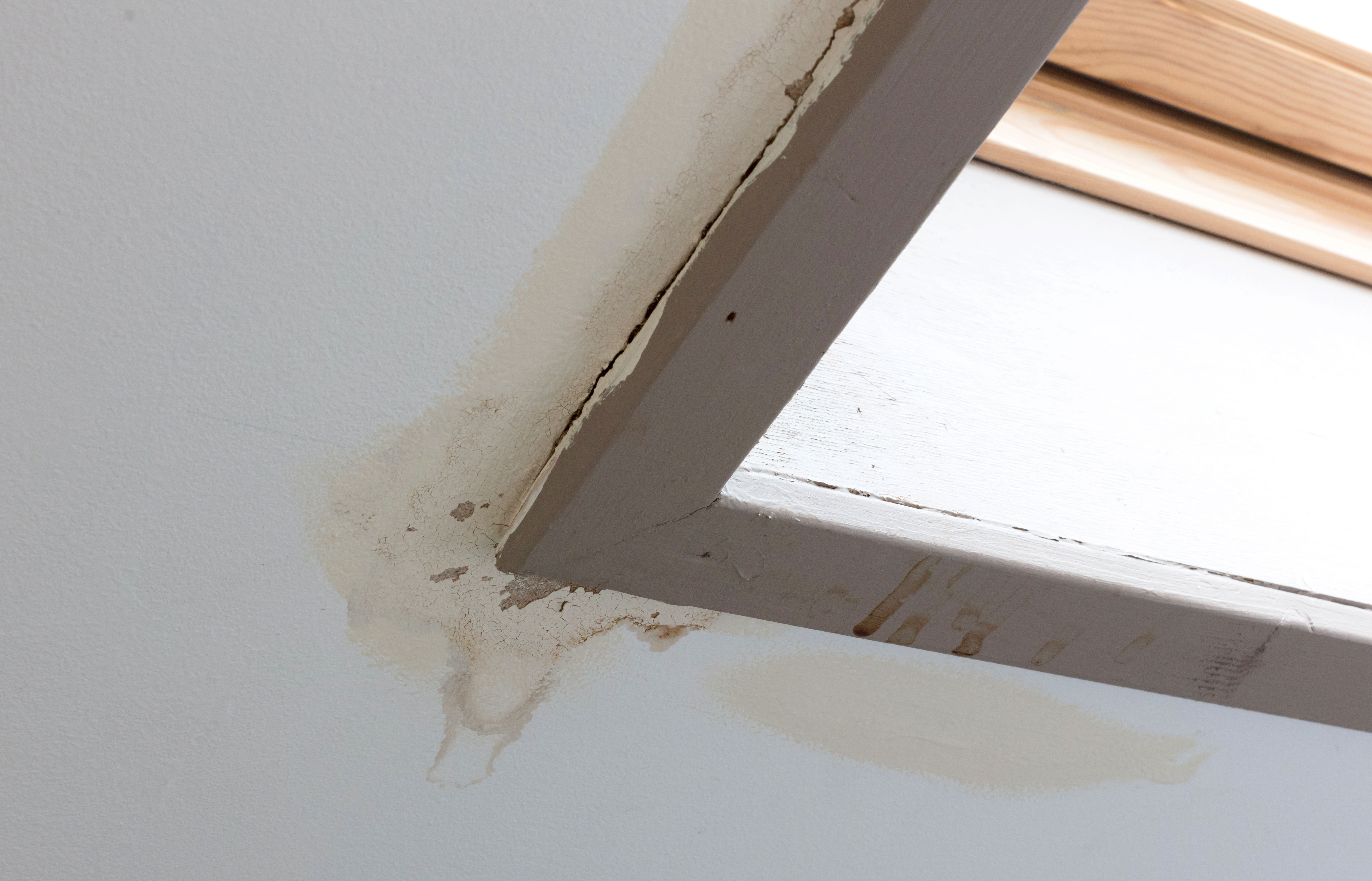 Close-up of a skylight frame with water stains on the ceiling.