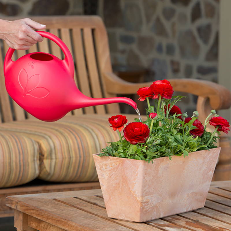 Lady using our red watering can to water her roses in a terra colored ella flower box