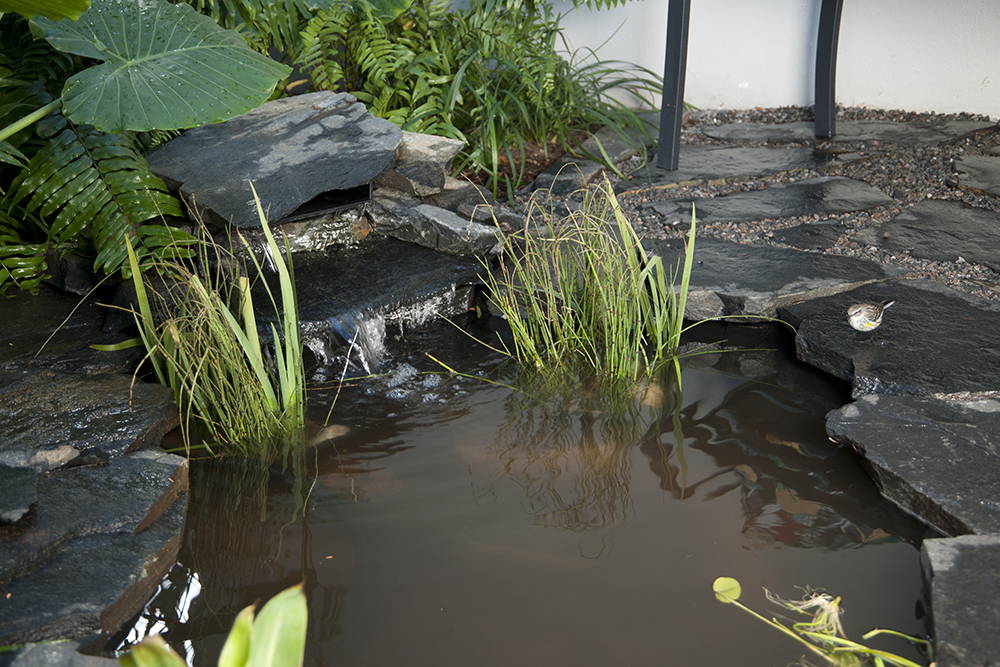 Add a small waterfall to your pond