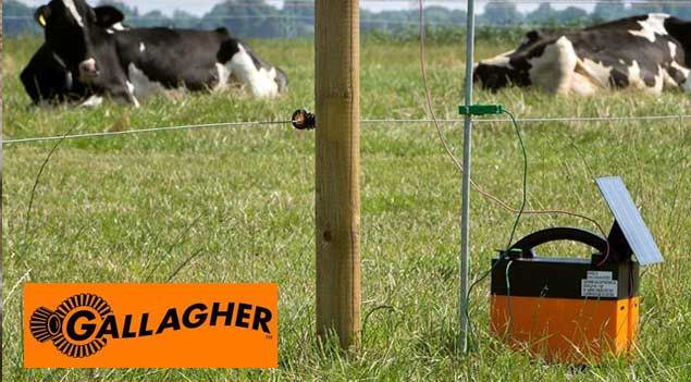 Gallagher Electric Fencing
