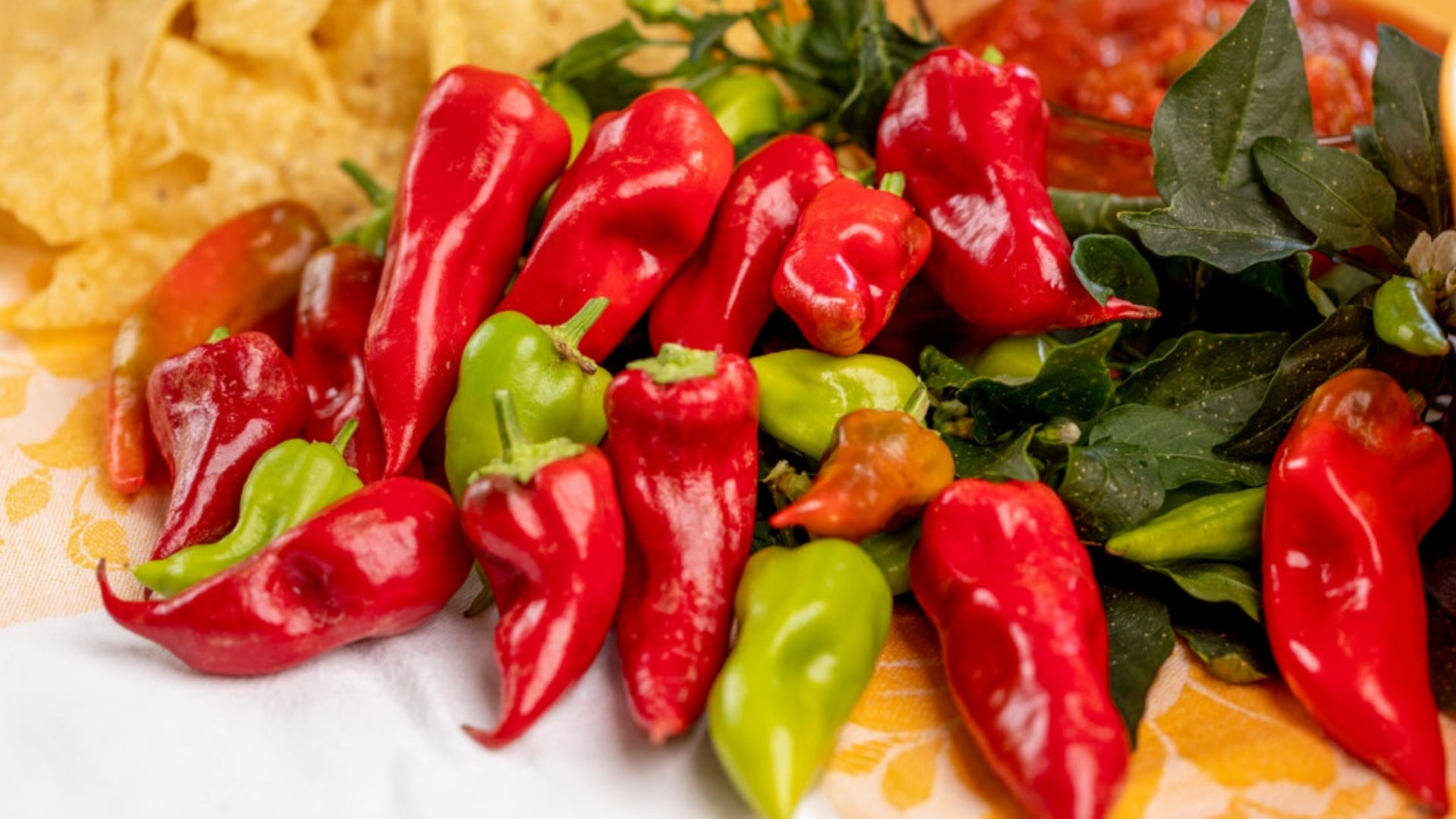 Photo of Goodhearted Tomatoes and Fire Away Hot and Heavy Peppers