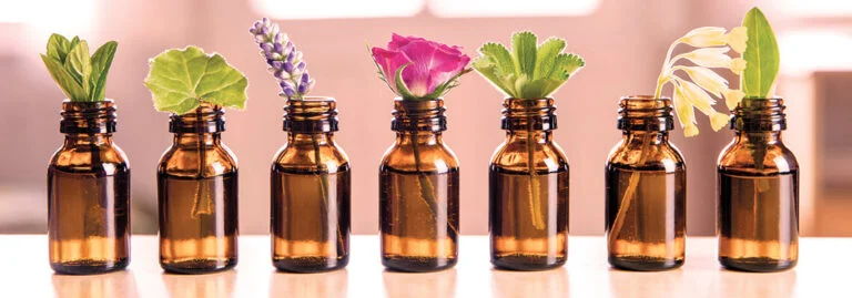 Brown bottles with various herbs and flowers displayed in them.