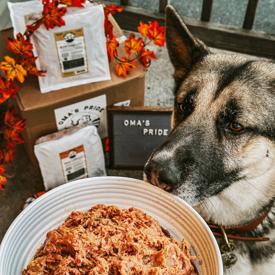 German Shepherd behind white bowl filled with raw meat and packages of food in the background.