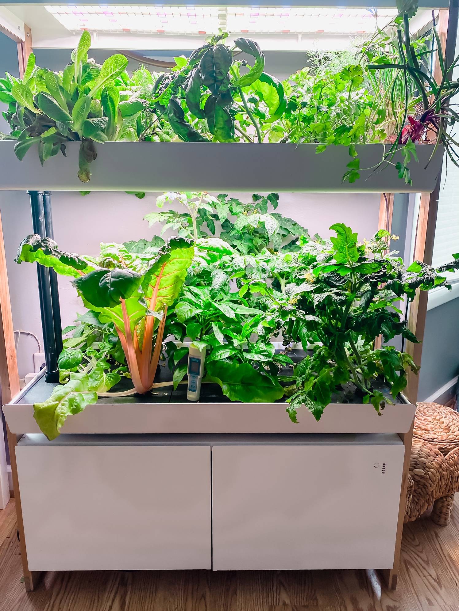 An Indoor Garden That Fits Anywhere Rise Gardens Us