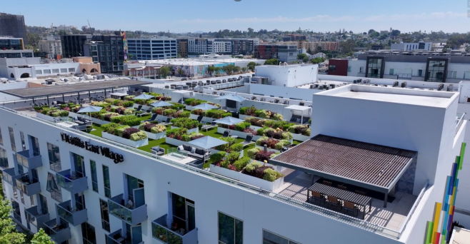 Rooftop garden with greenery on a modern building in an urban setting.