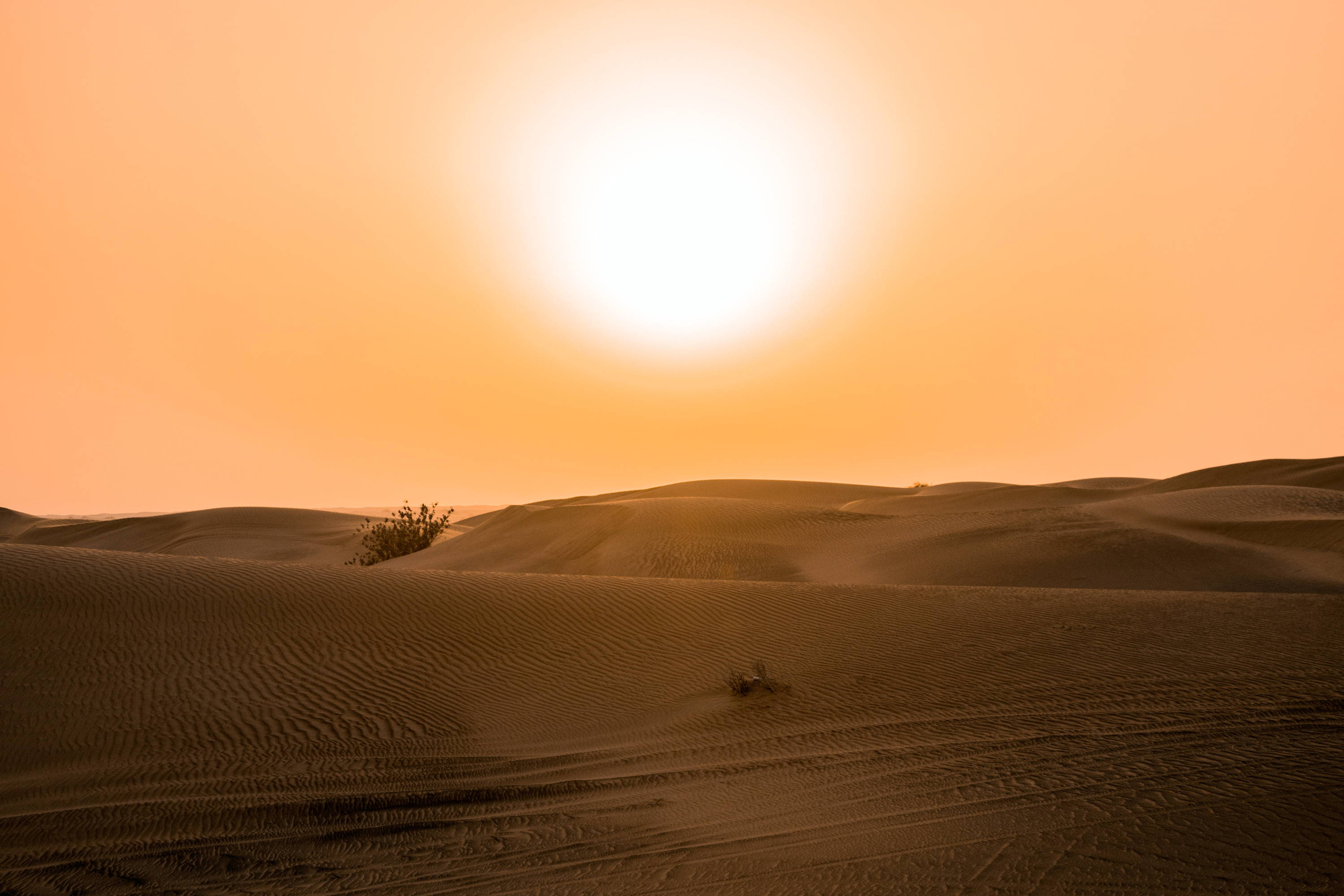 Hot sun in the desert