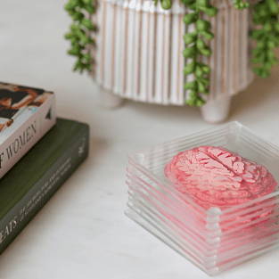 A decorative brain model on a table beside books and a plant.