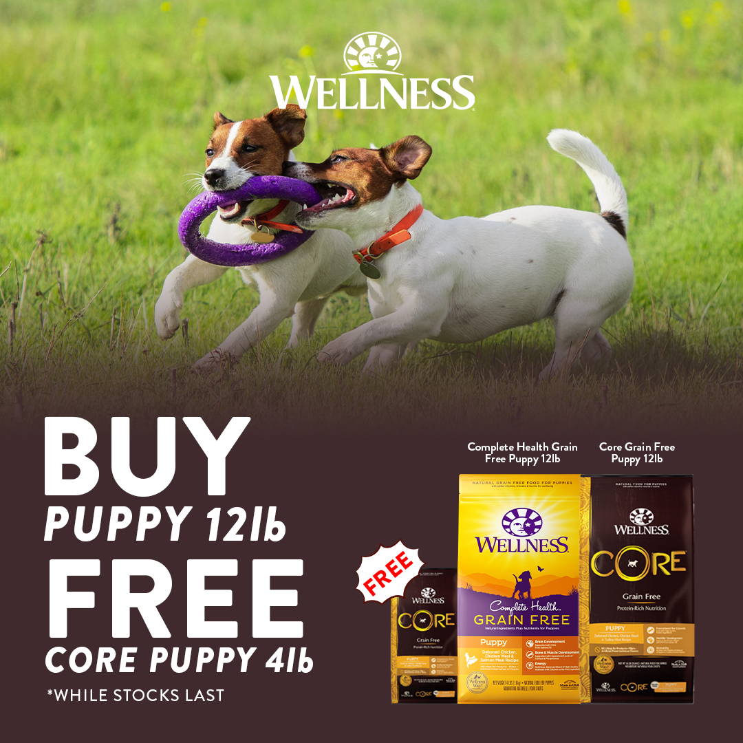 https://www.pawpykisses.com/collections/wellness-dog-cat-food?_=pf&pf_t_life_stages=lifestage%3A%20Puppy&pf_t_for_dog_cat=Dog
