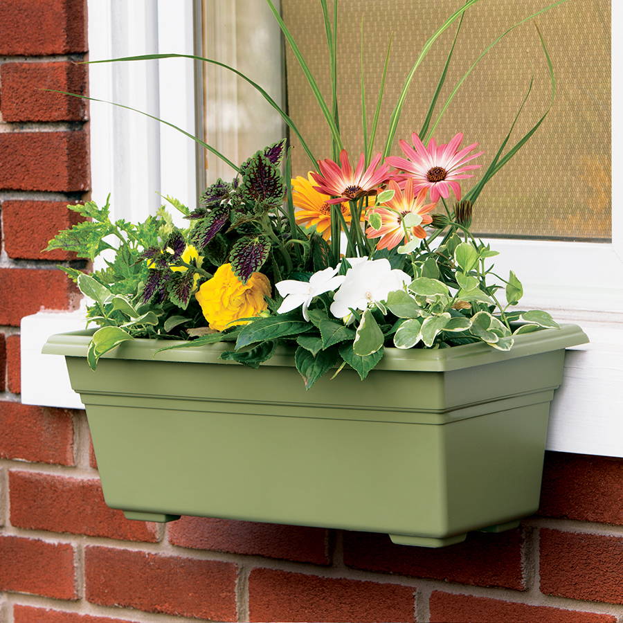 Flowers planted in a sage green Countryside flower box mounted underneath a window
