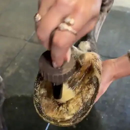 Step 3 - seal in the moisture