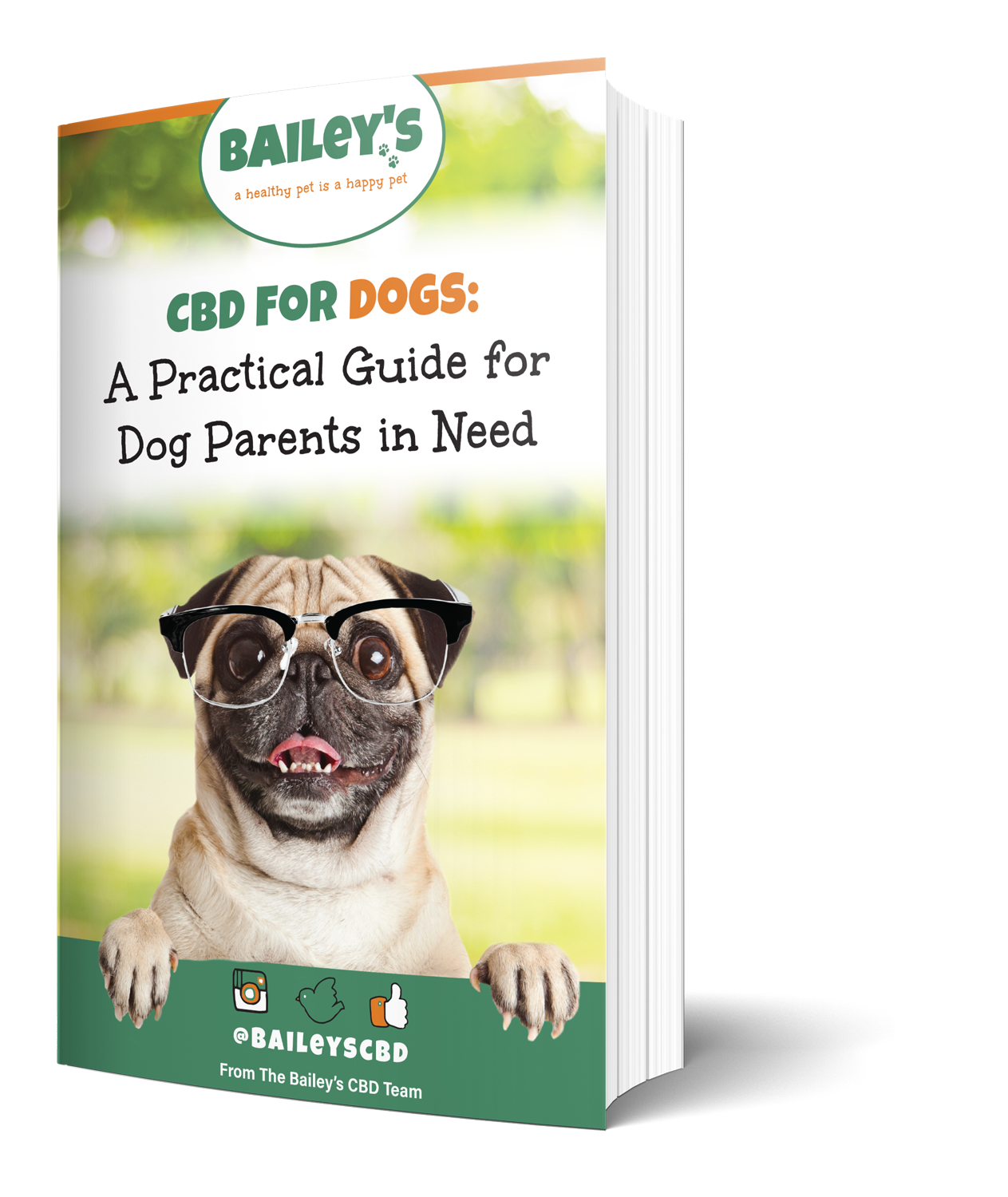 Baileys CBD For Dogs: A Practical Guides for Dog Parts in Need