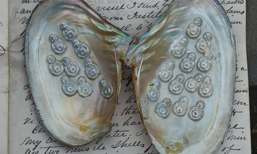 Freshwater Pearl History: Buddha Blister Pearls 