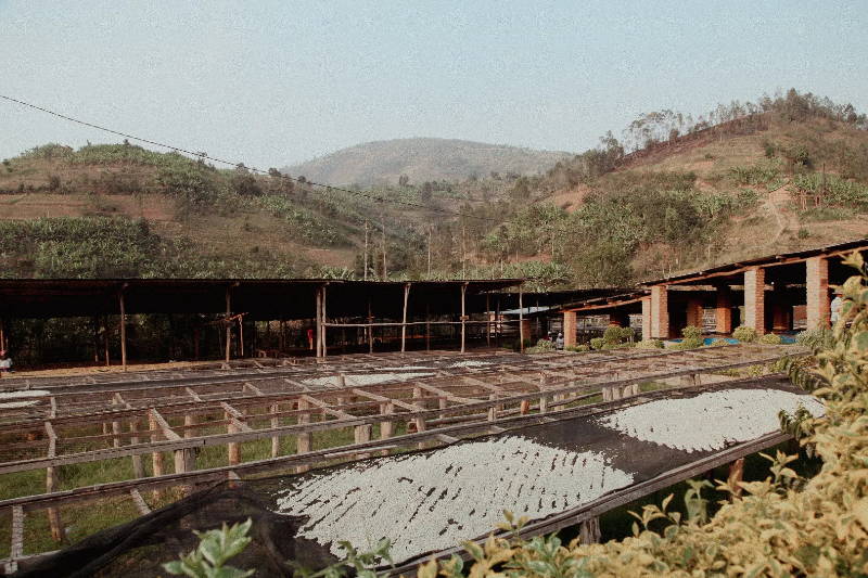 Aufbereitungsstation der Kooperative Kabila in Gakenke, Ruanda