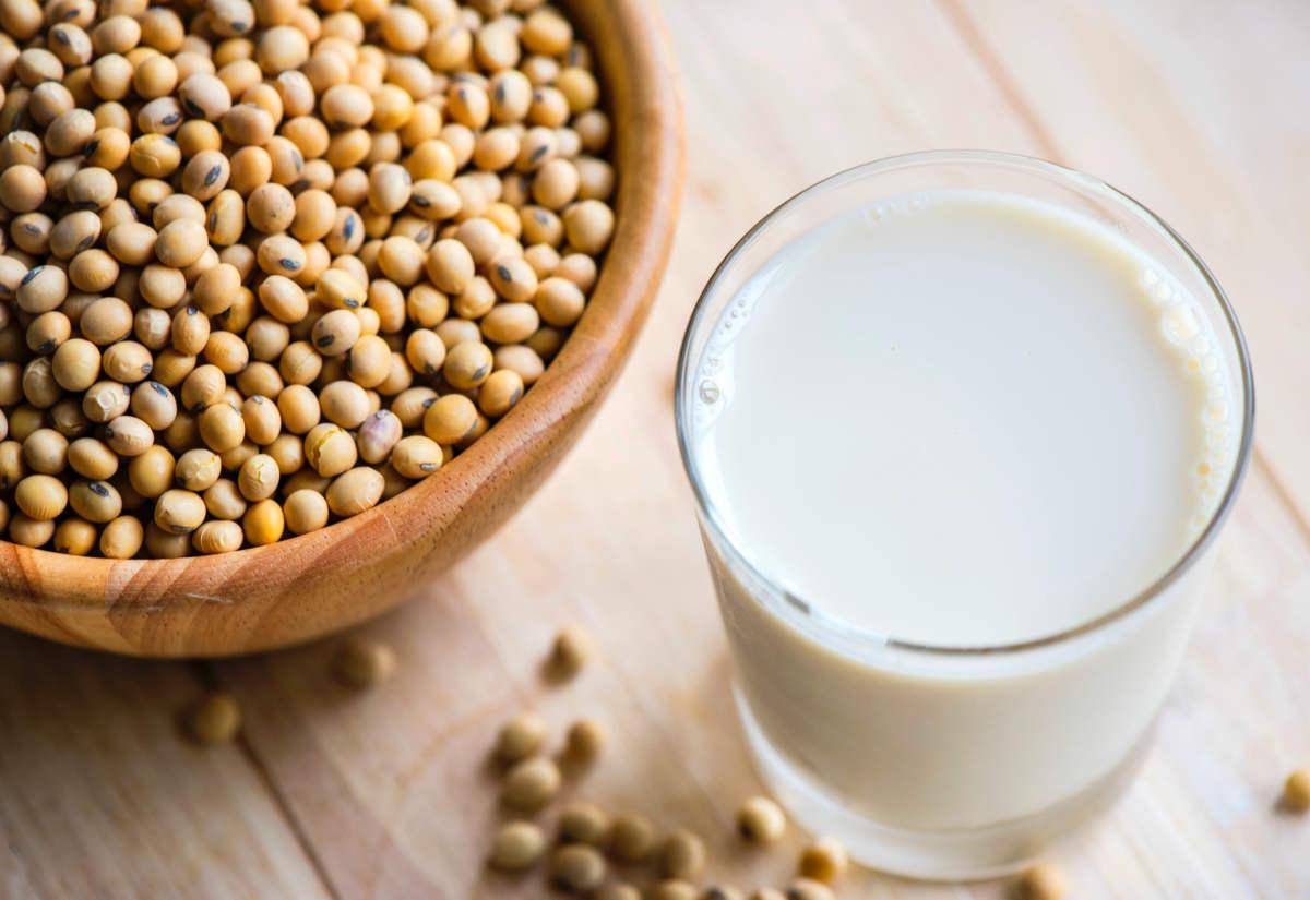 Soya Beans And Milk | Plant-Based Protein Alternatives Instead of Meat or Dairy