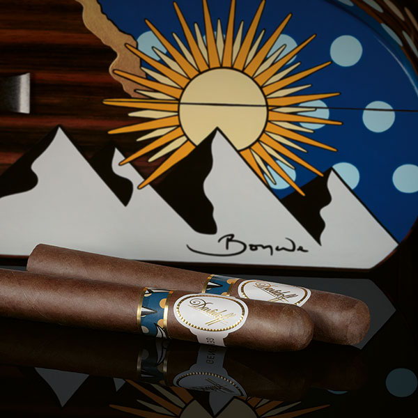 Davidoff & Boyarde Masterpiece Humidor Elementary with two toro cigars placed in front of it. 