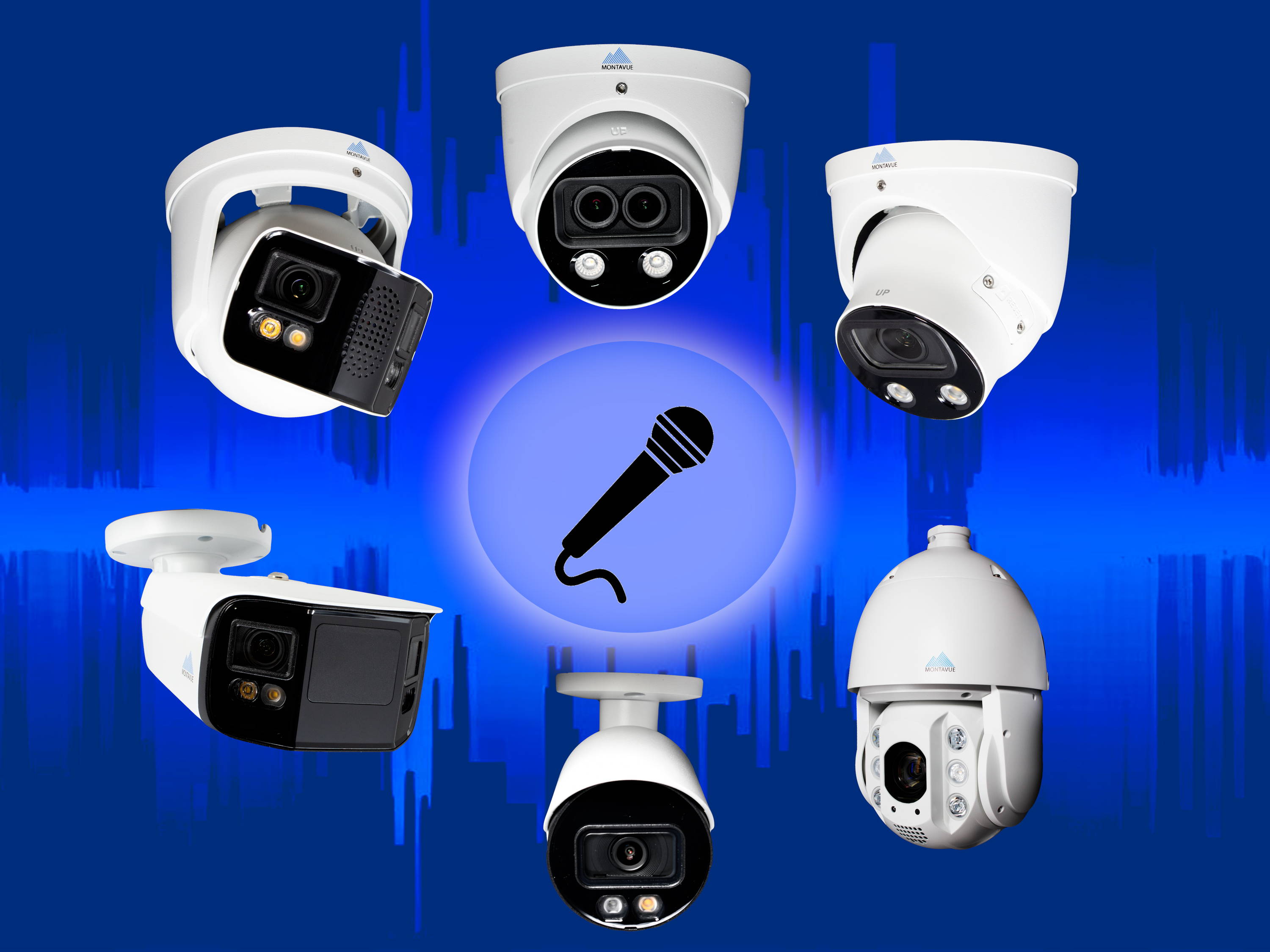 Security IP cameras with built-in microphones for audio
