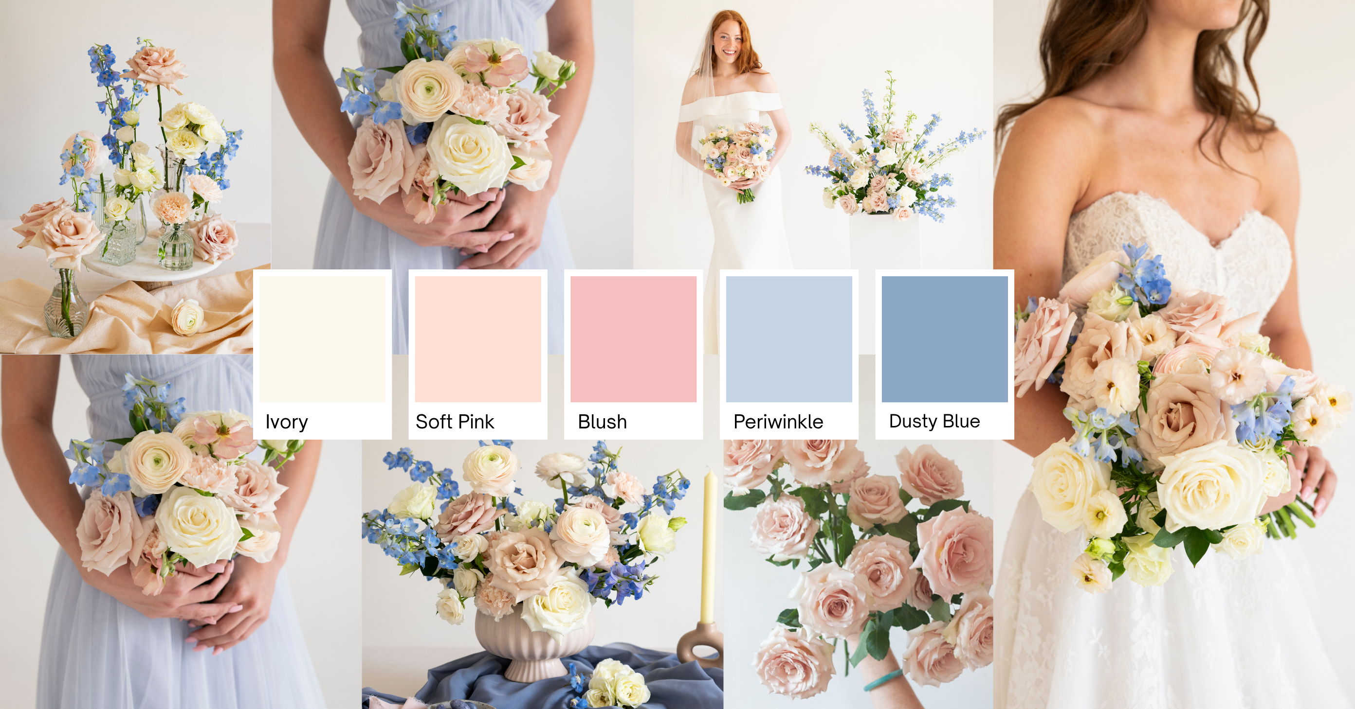 Dusty Blush and Blue header