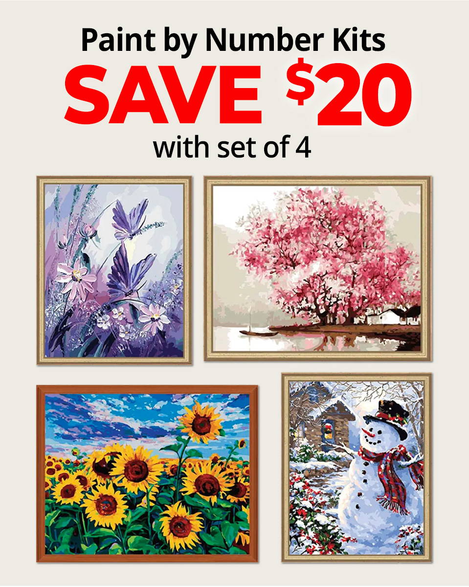 Text: Save $20 on set of 4 Paint by Number Kits. Image: Adbrain Flowery Fields, Set of 4 Paint-by-Number Kit.