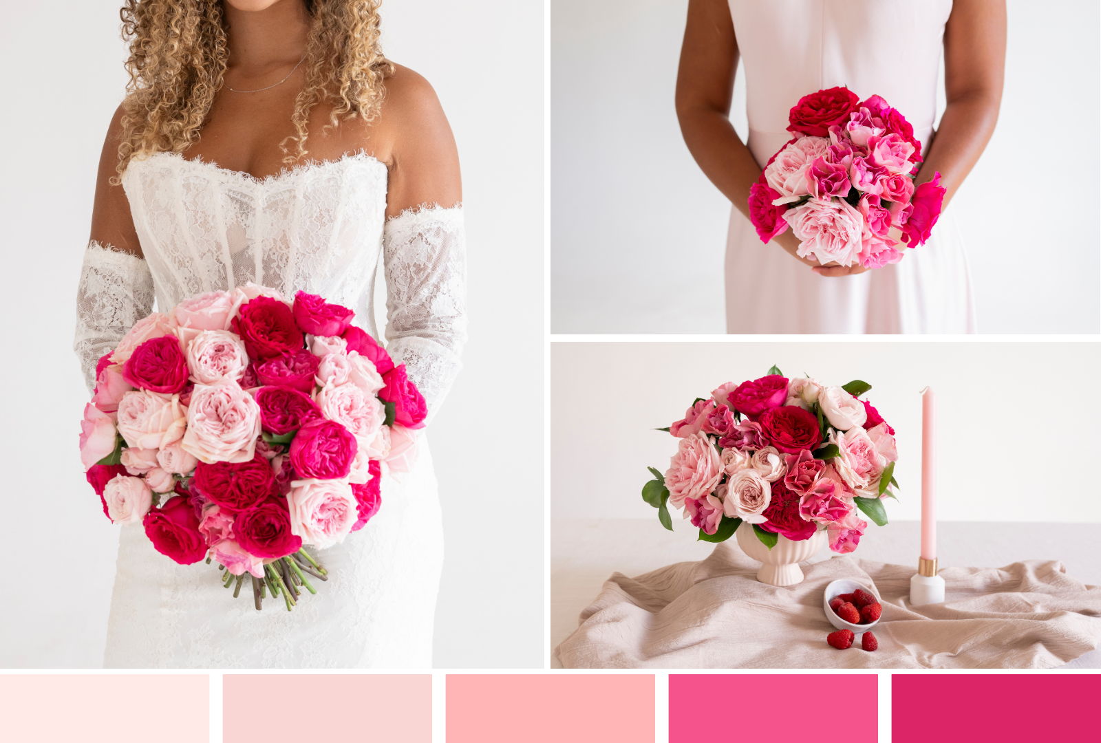 deep pink garden rose