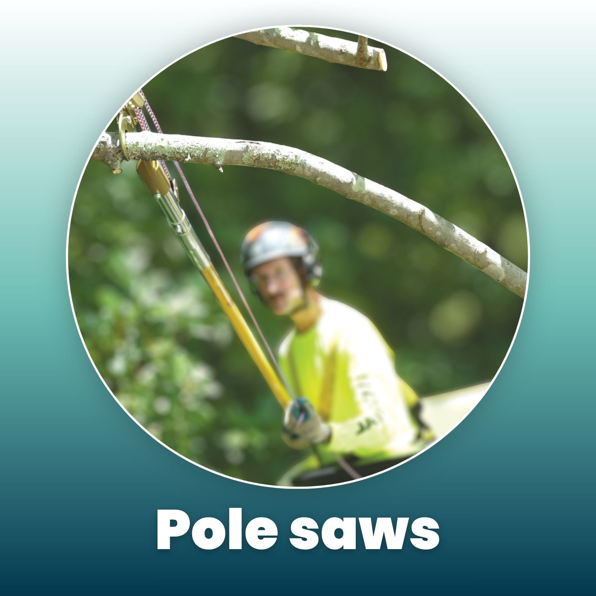 Worker using a pole saw in a tree.