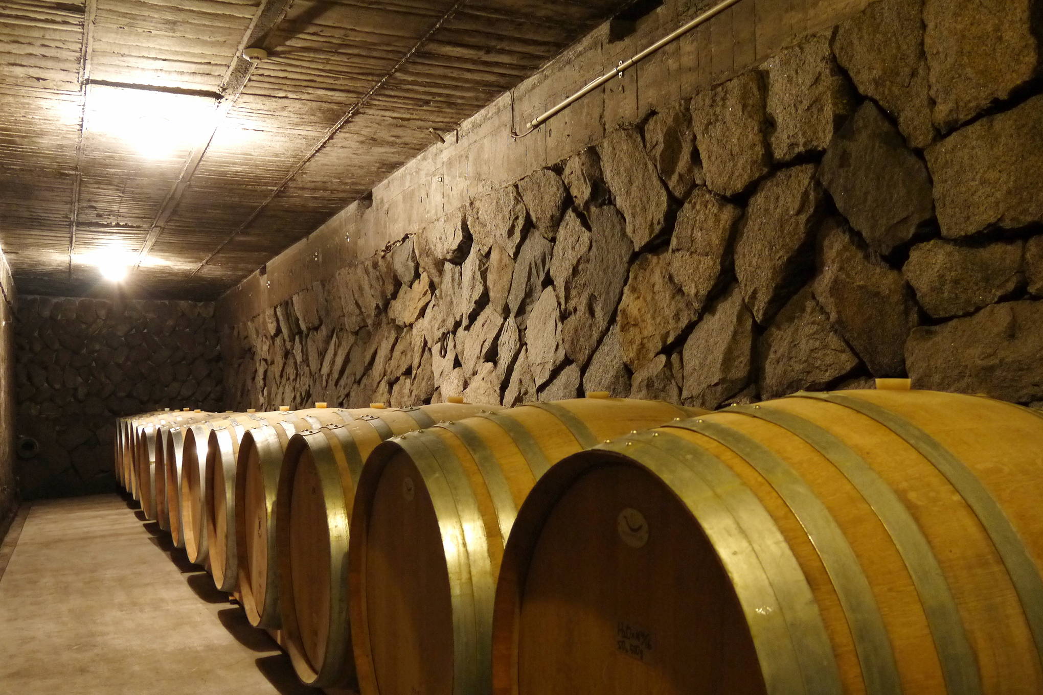 地下エリアには貯蔵庫も。沢山のワインや樽が、静かに時を待つ。