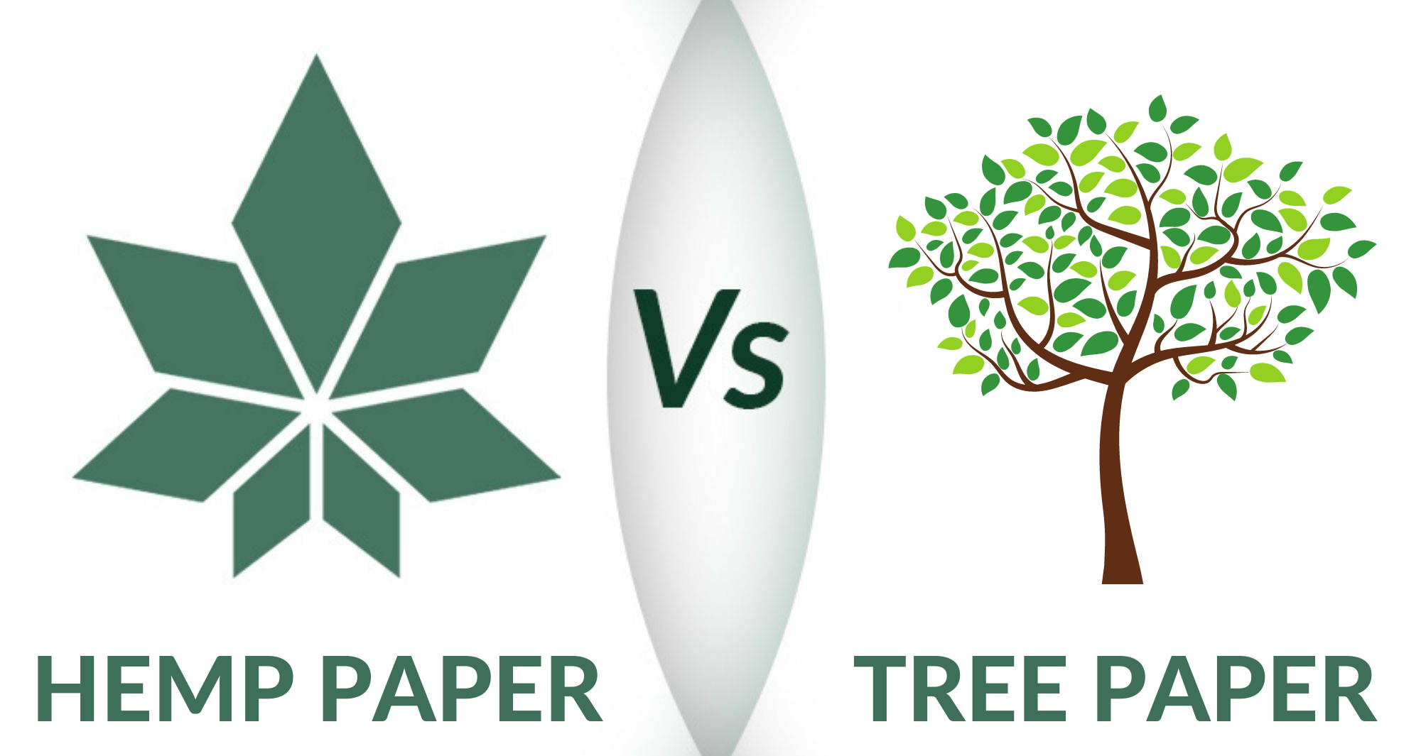 Hemp Vs Tree Paper Logo By WAMA Underwear