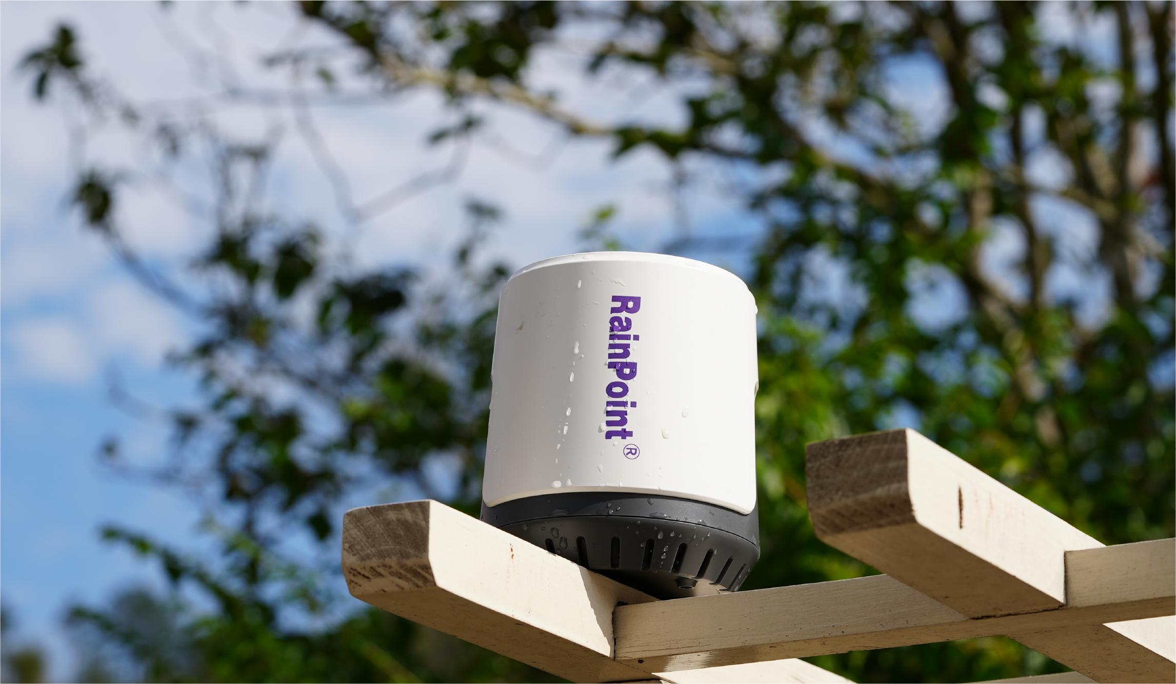 RainPoint Smart High Precision Rain Sensor