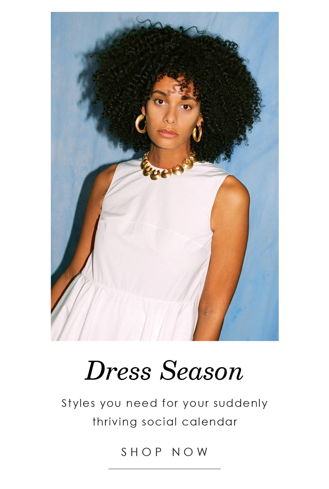 Shop Dresses