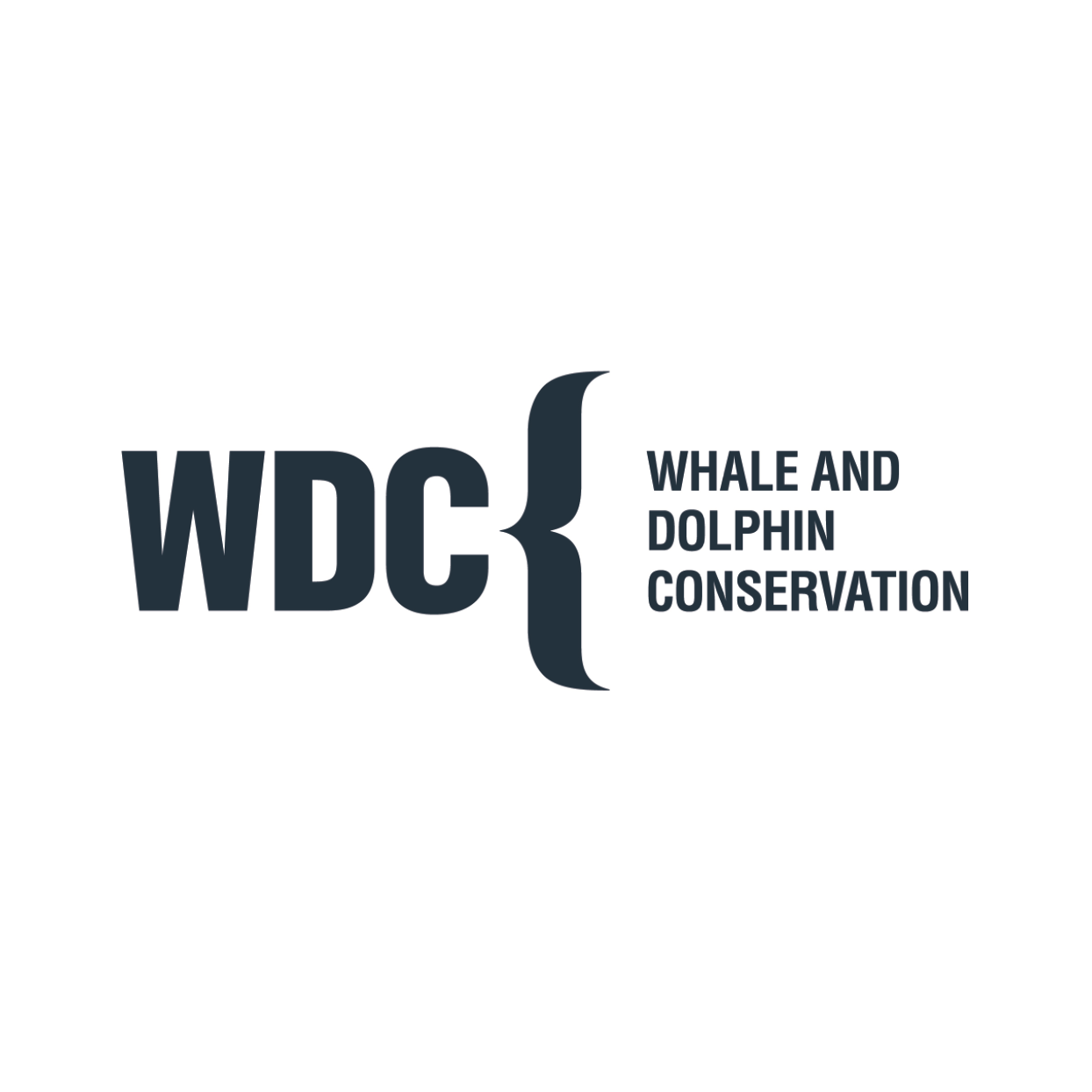 Logo WDC Whale and Dolphin Conservation