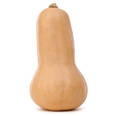 Butternut Squash