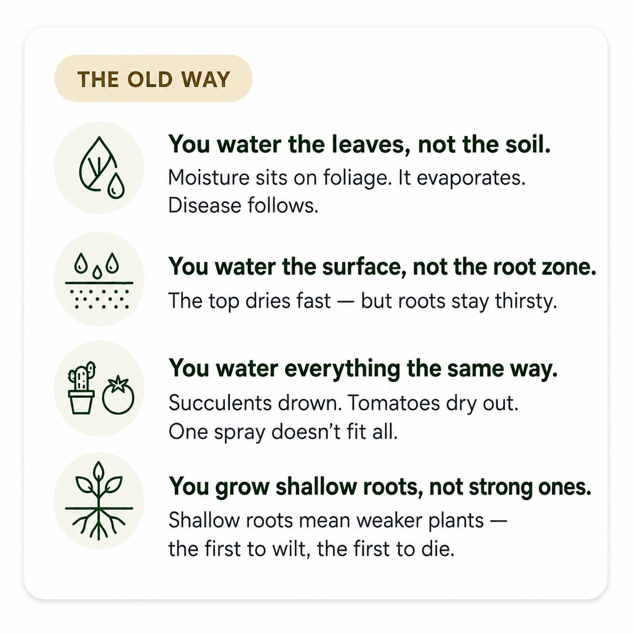 Tips for effective plant watering techniques and common mistakes.