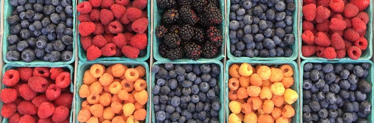 A variety of berries in cartons - blueberries, raspberries, blackberries and more