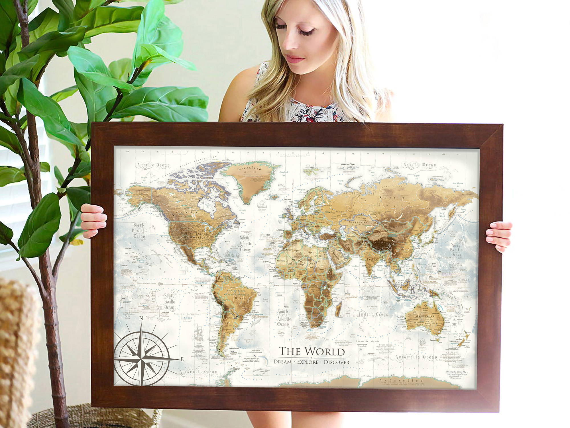 framed gold world map