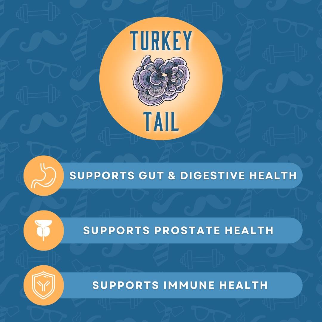 Turkey Tail mushroom infographic in blue and orange. Reads, Turkey Tail, supports gut & digestive health, supports prostate health, supports immune health