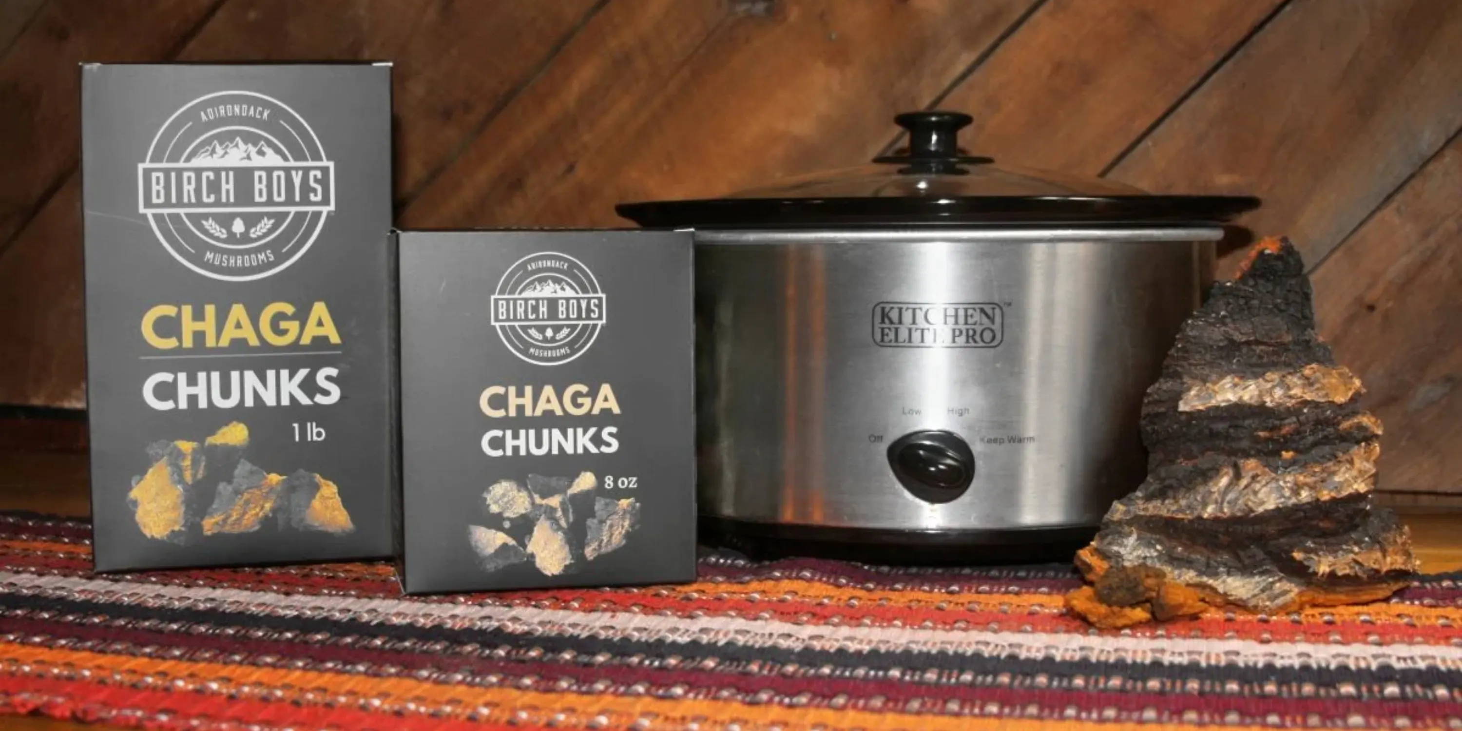 Birch Boys Chaga Chunks with a conk of wild organic chaga and a crock pot slowcooker