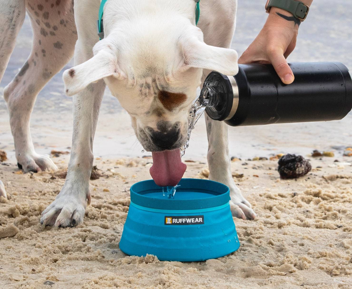 Dog Bowl & Water Bottle