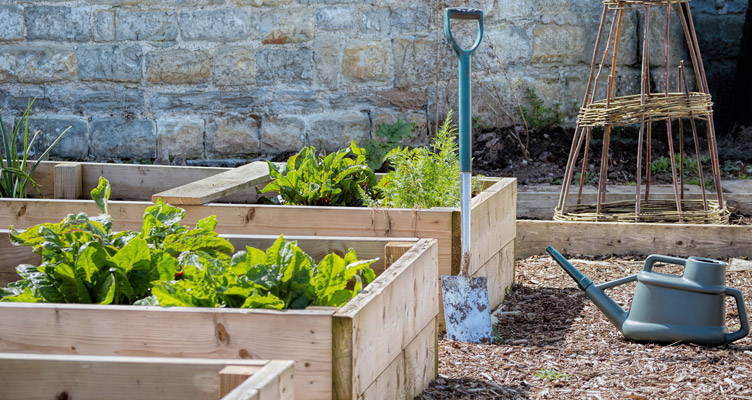 Miniature Kitchen Garden in a Raised Bed