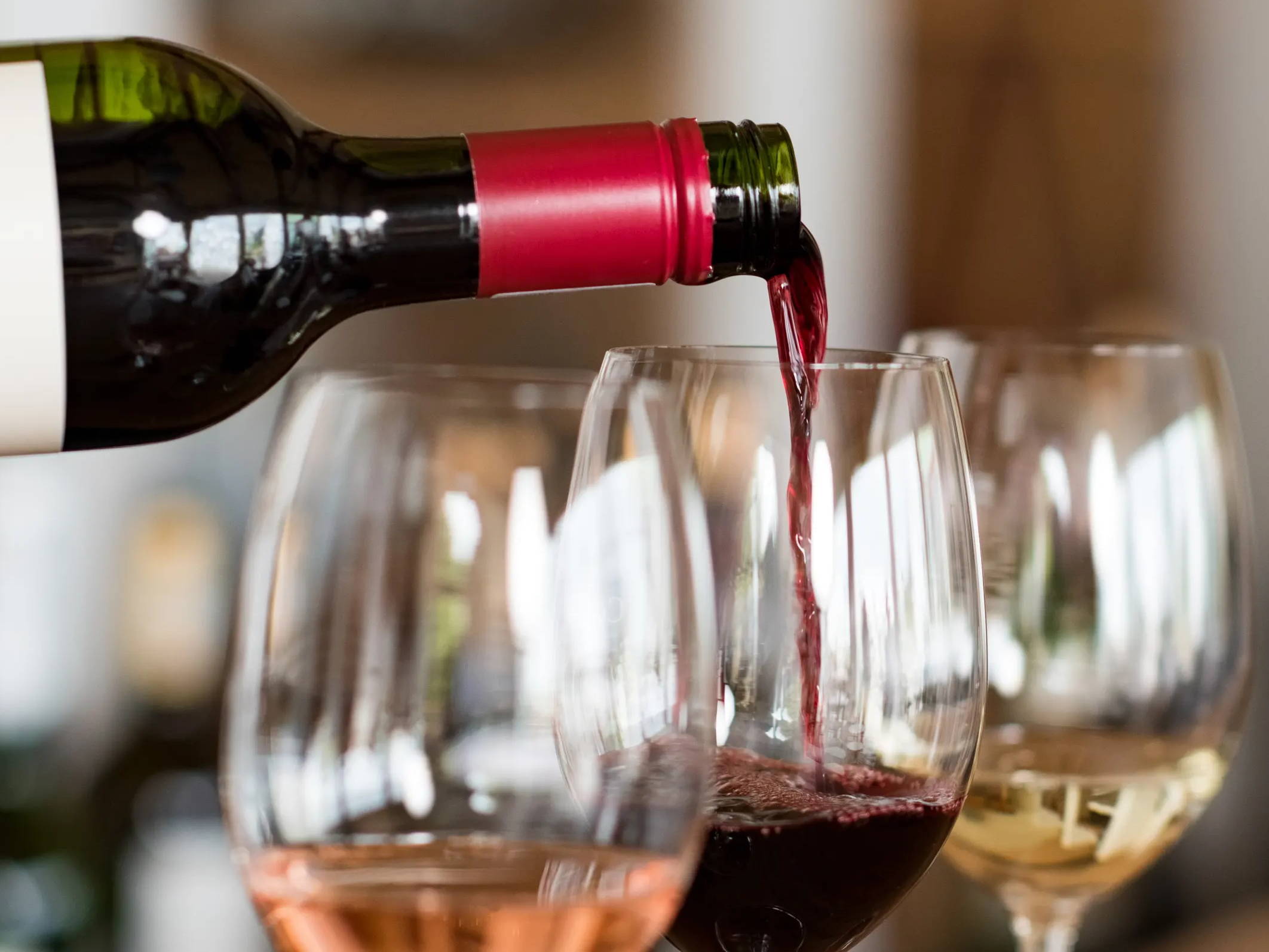 Beviamo International Wine-Tasting for Restaurants & Bars, Retail Establishments and Private Cellars 