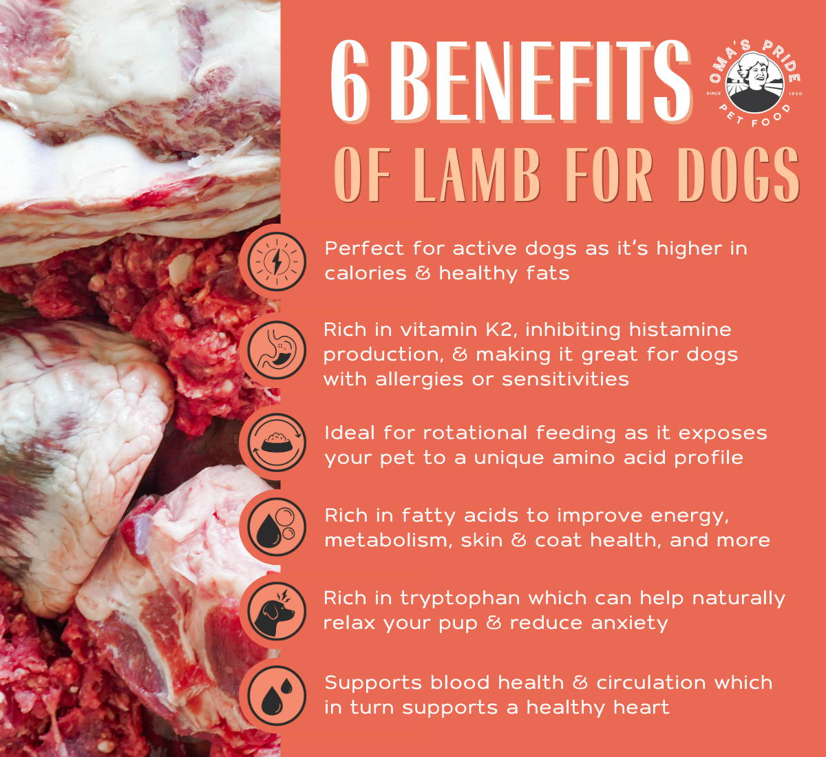 List of 6 benefits of lamb for dogs.