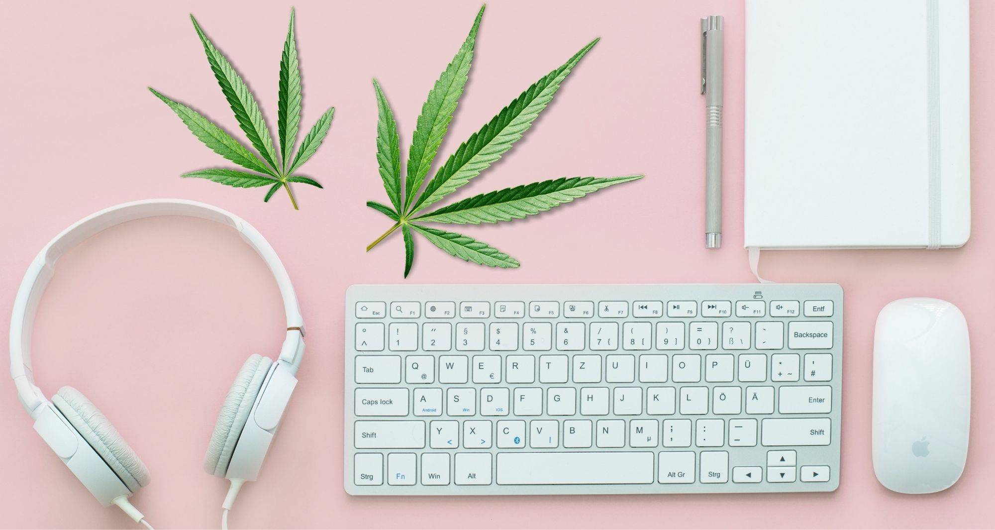 Two hemp leaves, headphones, a keyboard, mouse, pen, and a notebook laid out against a pink background.