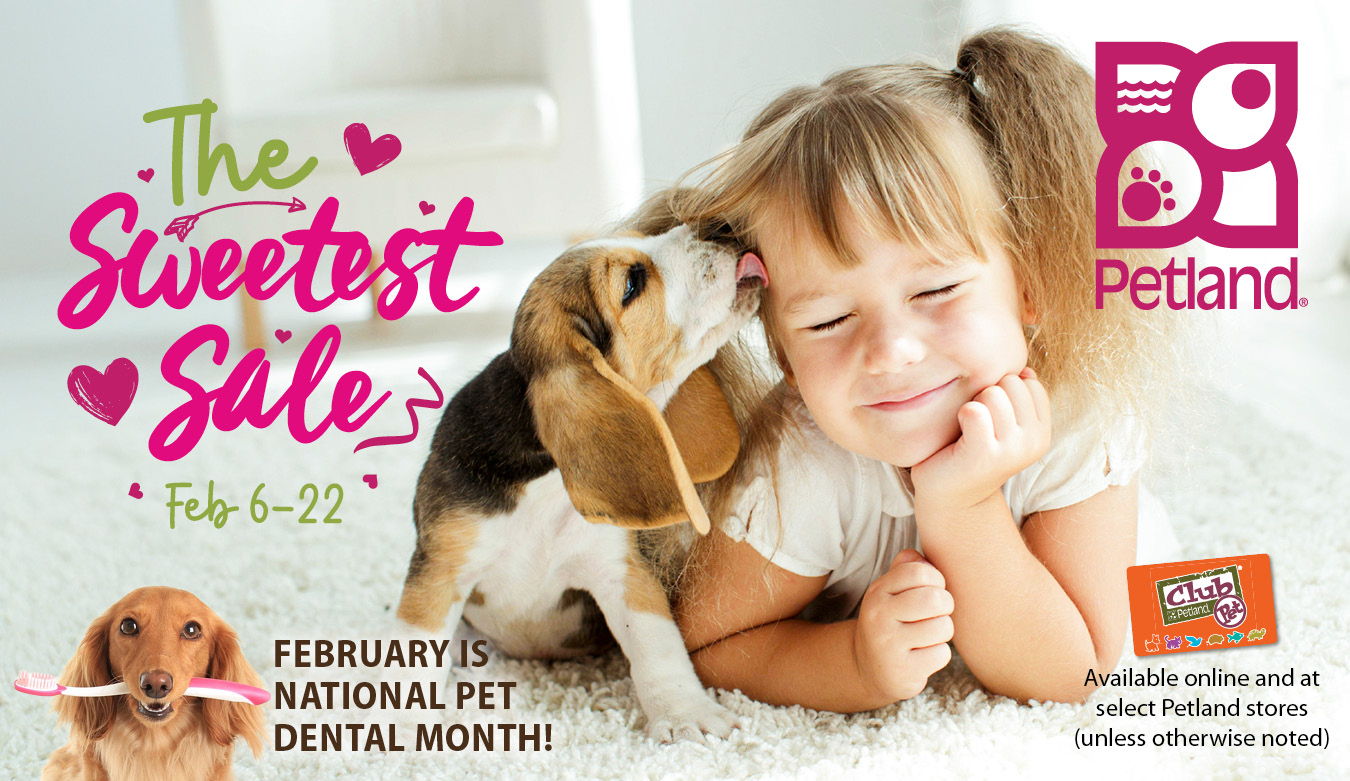 The Sweetest Sale available online and at select Petland stores February 6–22, 2026 (unless otherwise noted). 