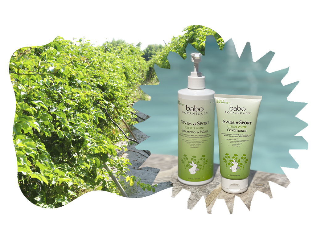 Citrus plant next to the Swim & Sport Citrus Mint Shampoo and wash and the Swim & sport Critus Mint Conditioner