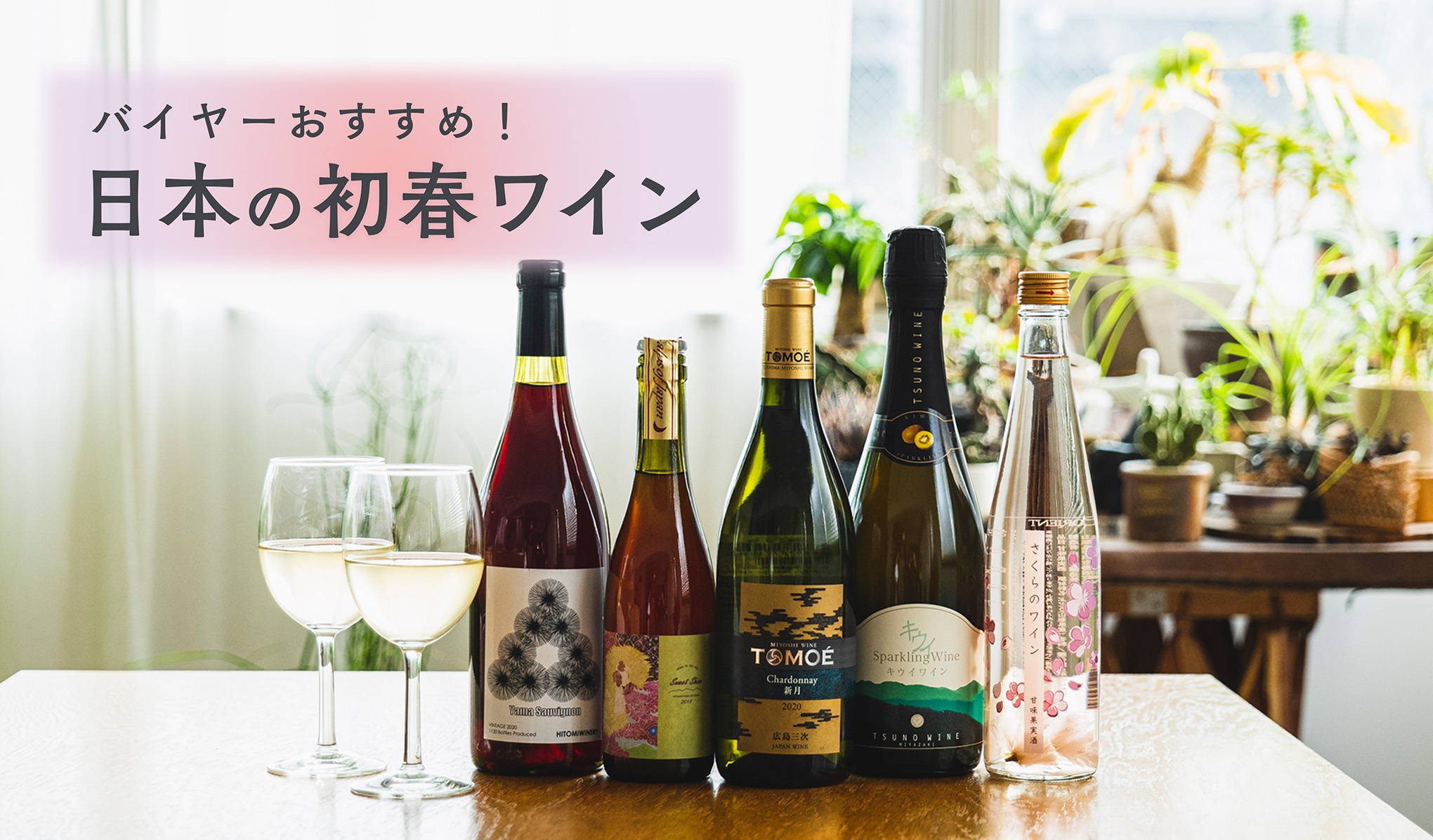 バイヤーおすすめ！日本の初春ワイン