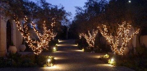 Walkway with fairy lights dressing the trees and stake lights below